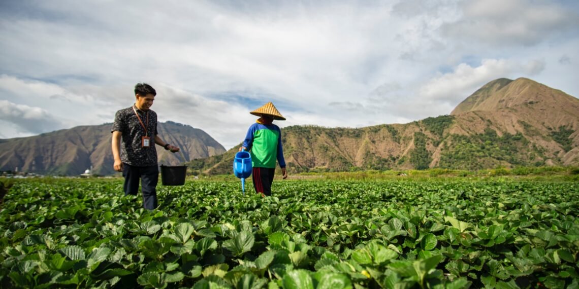 BRI Salurkan KUR Rp83,38 triliun, Pertanian Jadi Motor Utama