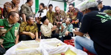 3 Ton Manggis Subang Tembus Pasar China