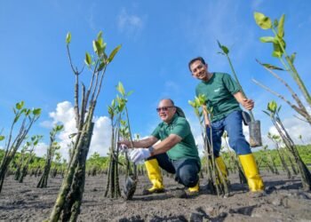 Peringati Hari Bumi Sedunia, Bank BSN Tanam 1.150 Bibit Mangrove di Kawasan Pesisir Teluk Benoa Bali