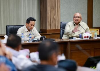 LPDB Koperasi Dorong Mitra Strategis Perkuat KDKMP, Bangun Pembiayaan Mikro Murah dan Berkelanjutan