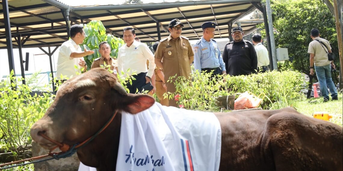 AirNav Indonesia Salurkan Puluhan Hewan Qurban untuk Masyarakat Tangerang