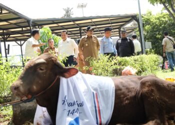 AirNav Indonesia Salurkan Puluhan Hewan Qurban untuk Masyarakat Tangerang