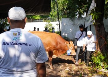 BNI Distribusikan 1.200 Hewan Kurban ke Berbagai Daerah Indonesia