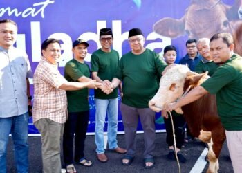 Iduladha 1447 H, LPDB Koperasi Perkuat Semangat Berbagi Lewat Penyaluran Hewan Kurban