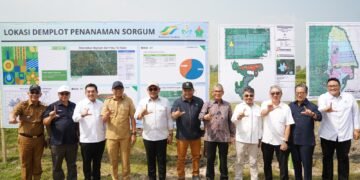 PTPN I (Persero)  Dukung Percepatan Ketahanan Energi Nasional Melalui  Budidaya Sorgum Terintegrasi di Kebun Rejosari, Natar, Lampung Selatan 