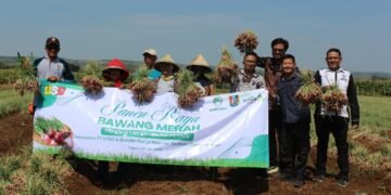 United Tractors Semen Gresik Dukung Kemandirian Ekonomi Desa melalui Panen 4 Ton Bawang Merah