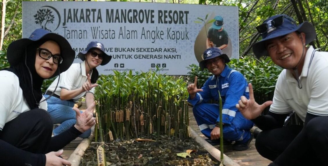 Mangrove untuk Perkuat Ketahanan Pesisir Jakarta, DSLNG Wujudkan Aksi Lingkungan di Luar Area Operasi