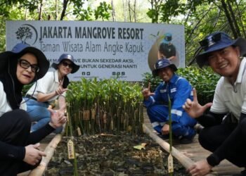 Mangrove untuk Perkuat Ketahanan Pesisir Jakarta, DSLNG Wujudkan Aksi Lingkungan di Luar Area Operasi