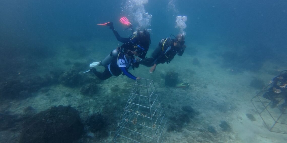 Jaga Ekosistem Laut Indonesia, ASDP Perkuat Konservasi Terumbu Karang di Pesisir Bau-Bau Sulteng