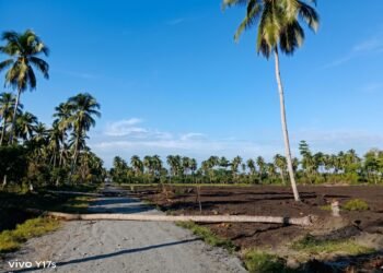 Dinamika Lapangan Pengelolaan Lahan , PTPN I (Persero) Kedepankan Dialog Damai di Tananahu Maluku Tengah