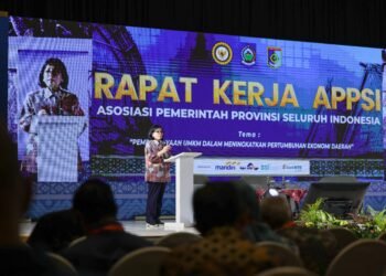 Perkuat Transformasi Tata Kelola UMKM Melalui SAPA UMKM