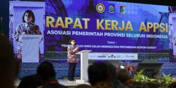 Perkuat Transformasi Tata Kelola UMKM Melalui SAPA UMKM