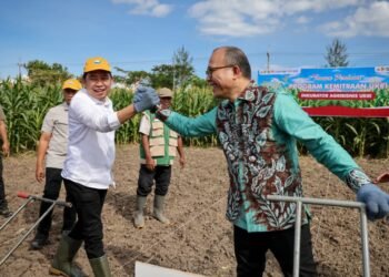 Kementerian UMKM Perkuat Kelompok Tani Jagung dengan Dukungan KUR