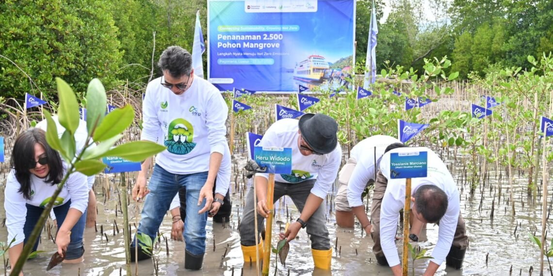 Hijaukan Pesisir, ASDP Tanam 2.500 Mangrove di pesisir Pagimana Kabupaten Banggai Sulteng