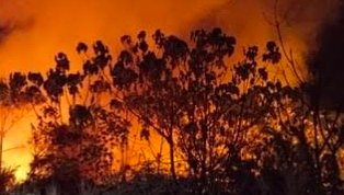 Karhutla Berdampak pada 2.604 Penerbangan, Kemenhub Perkuat Mitigasi dan Pengawasan Keselamatan